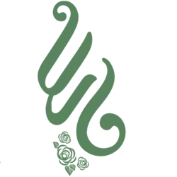 روبان گروگرن ۴ سانتی کد ۴ (طلایی روشن)