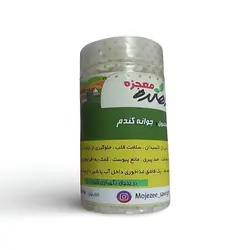 پودر جوانه گندم
