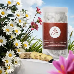 دمنوش بیماران شیمی درمانی و پرتودرمانی (52 عدد تی بگ) - دکتر عارف