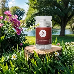 دمنوش سردرد میگرن در سردمزاجان ( 40 عدد تی بگ) - دکتر عارف