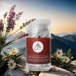 دمنوش سردرد میگرن در گرم مزاجان ( 40 عدد تی بگ) - دکتر عارف