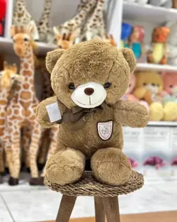 عروسک خرس مارک به سینه