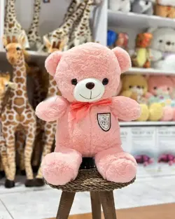 عروسک خرس مارک به سینه