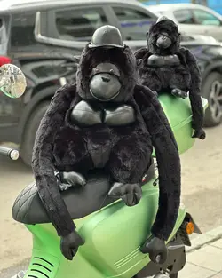 عروسک گوریل