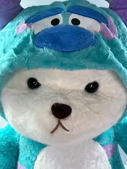 عروسک خرس لباس سالیوان