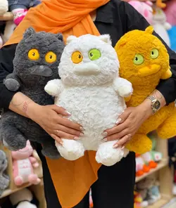 عروسک گربه چشم رنگی
