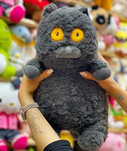 عروسک گربه چشم رنگی