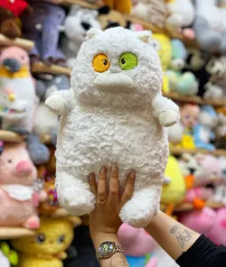 عروسک گربه چشم رنگی