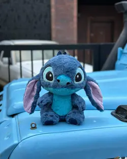 عروسک استیج پولیشی