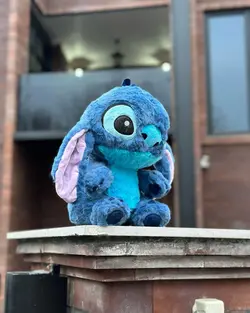 عروسک استیج پولیشی