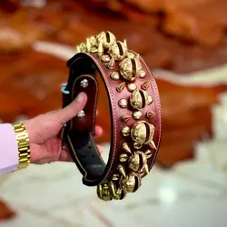 قلاده ترانگاتا میخدار - فروشگاه قلاده و محصولات چرمی