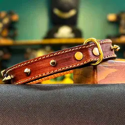 قلاده توله مولکول - فروشگاه قلاده و محصولات چرمی