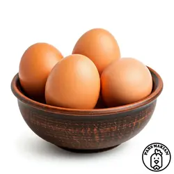 خرید تخم مرغ نطفه دار گوشتی گلپایگان