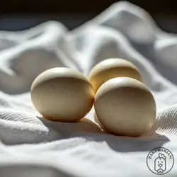 خرید تخم نطفه دار غاز - پارس ماکیان