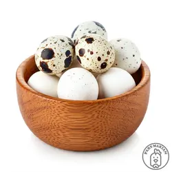 خرید تخم نطفه دار کبک - پارس ماکیان