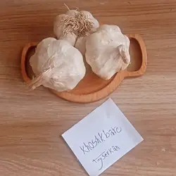 سیر خشک همدان