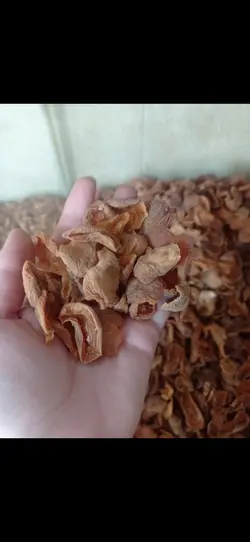 برگه زردآلو لوکس و صادراتی بدون تیزابی