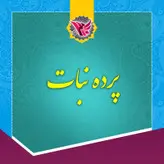 پرده نبات ساده سنتی یزد  2 کیلوگرمی (ممتاز)