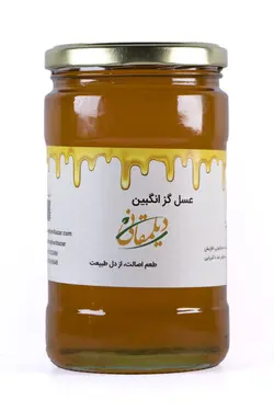 عسل گزن گبین - فروشگاه دیلمقانی
