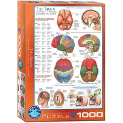 پازل یوروگرافیک 1000 تکه «مغز» 0256-6000