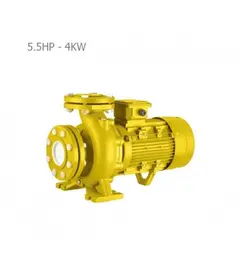 جت پمپ جکوزی آکوا استرانگ مدل EST40-160/40 - هوم تجهیز