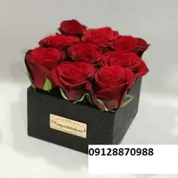 باکس گل رز قرمز 427