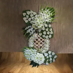 تاج گل آریا