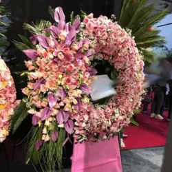 تاج گل برای افتتاحیه t1