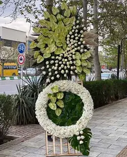 تاج گل برای افتتاحیه 564