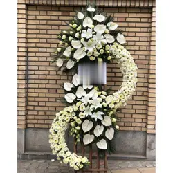 تاج گل برای مسجد جامع جمهوری اسلامی شیخ هادی 100a86