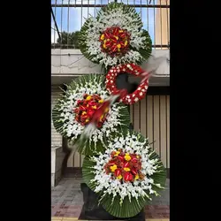 تاج گل پاپوک