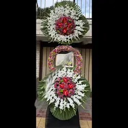 تاج گل پارسه