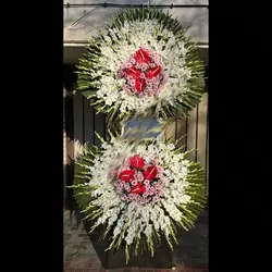 تاج گل پاکناز