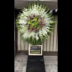 تاج گل پامینا