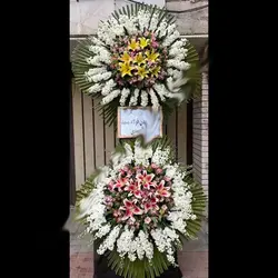 تاج گل پرلا