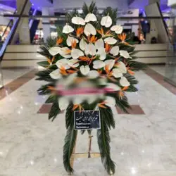 تاج گل پرنده بهشتی