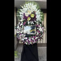 تاج گل پنه لوپه