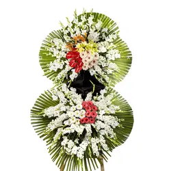 تاج گل رخشنده