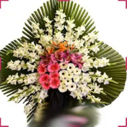 تاج گل شیمن