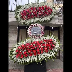 تاج گل فیلیپا