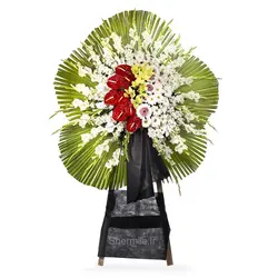 تاج گل نوران