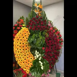 تاج گل هوما