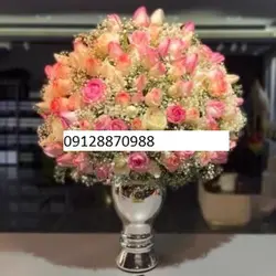 جام گل رز و عروس