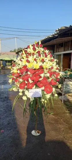 جام گل_کد 1122 - گل پارسیان