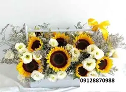 خرید گل برای آقایان 286