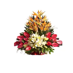 سبد گل آراه - فروشگاه آنلاین گل| تاج گل|باکس گل|دسته گل|سبد گل