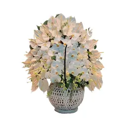 سبد گل آرزو - فروشگاه آنلاین گل| تاج گل|باکس گل|دسته گل|سبد گل