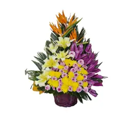 سبد گل ایرج - فروشگاه آنلاین گل| تاج گل|باکس گل|دسته گل|سبد گل