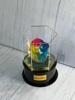 گل رز جاودان هفت رنگ