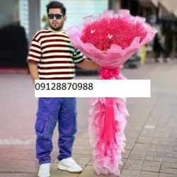 گل غول پیکر ژیپسوفیلا قرمز